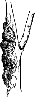 Fig.&nbsp;46.