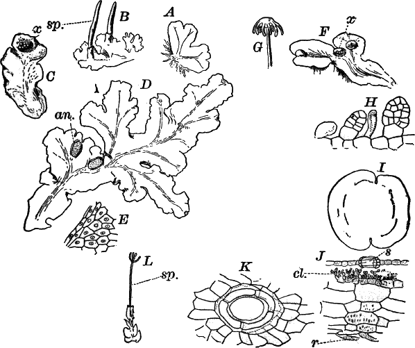 Fig.&nbsp;57.