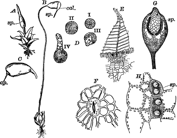 Fig.&nbsp;58.