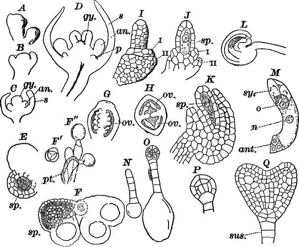 Fig.&nbsp;95.