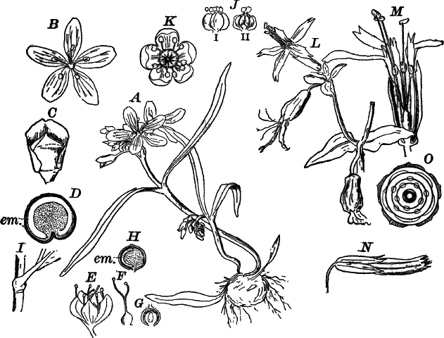 Fig.&nbsp;98.