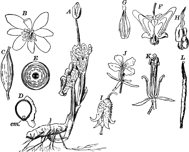 Fig.&nbsp;103.