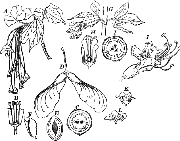Fig.&nbsp;108.