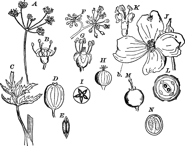 Fig.&nbsp;110.