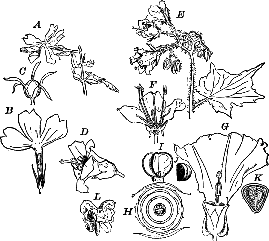 Fig.&nbsp;118.