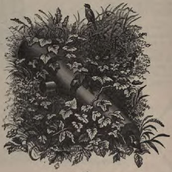 overgrown cannon