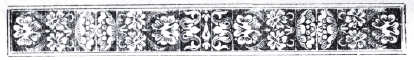 decoraci�n
