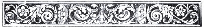 decoraci�n
