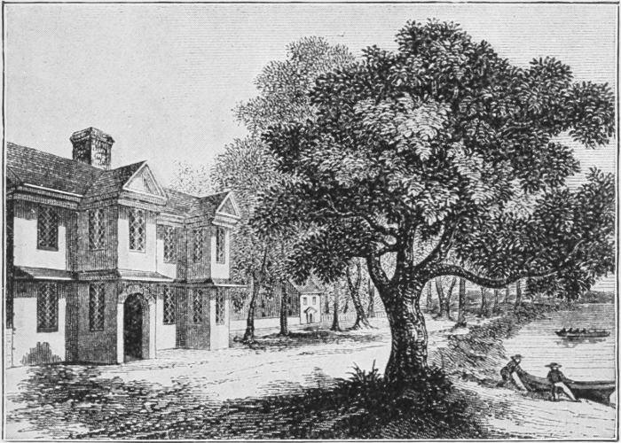 The Treaty Tree