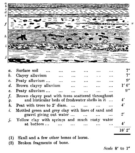 Section seen in pit dug for material for making
up the roadway