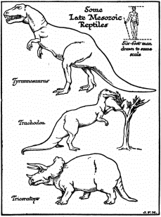 Some

Late Mesozoic

Reptiles