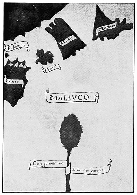 Pigafetta&rsquo;s Chart of the Moluccas