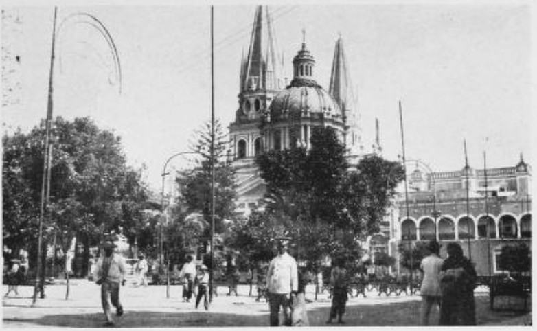 THE ORANGE TREES IN GUADALAJARA’S PLAZA WERE GOLDEN
THROUGHOUT THE YEAR