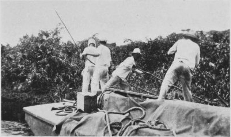 FOR THREE DAYS THE BOATMEN POLED THE LAUNCH THROUGH
SHALLOWS FRAMED IN RANK GREEN JUNGLE