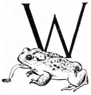 W