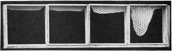 Foundation comb