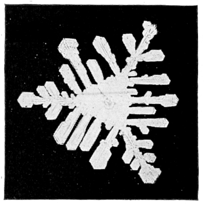 Snow crystal