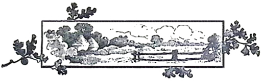 image009