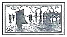 image022
